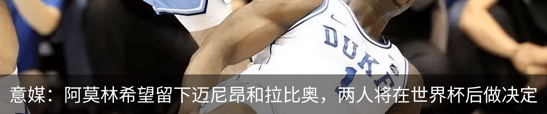 最新动态